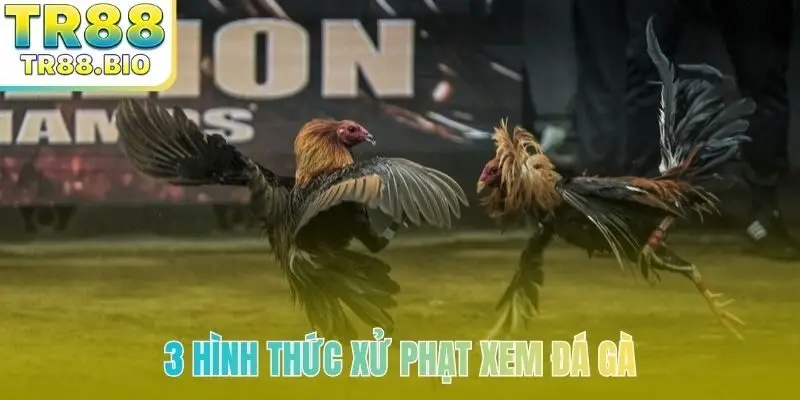 3 hình thức xử phạt xem đá gà