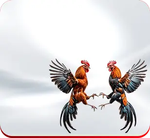cockfight-banner-6aafe9c