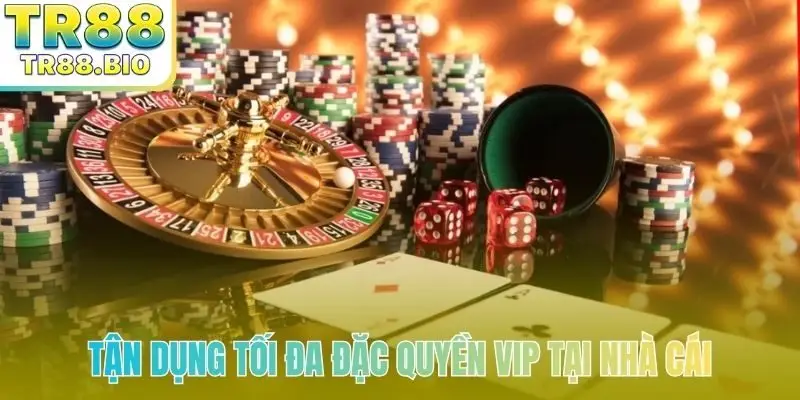 Tận dụng tối đa đặc quyền VIP tại nhà cái