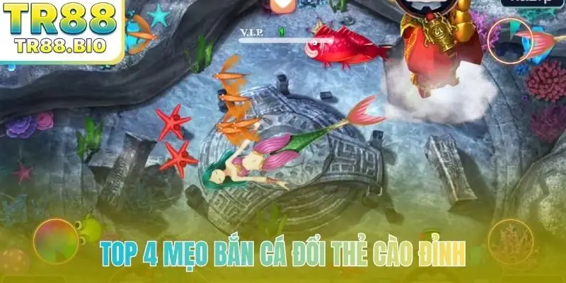 Top 4 mẹo bắn cá đổi thẻ cào đỉnh