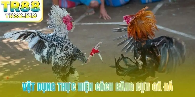 Vật dụng thực hiện cách băng cựa gà đá