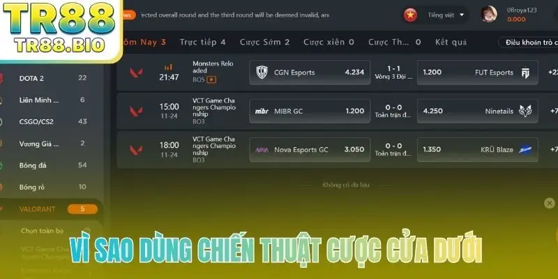 Vì sao nên dùng chiến thuật cược team cửa dưới esport
